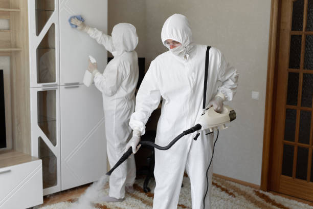 Best HVAC Mold Remediation in Saucier, MS